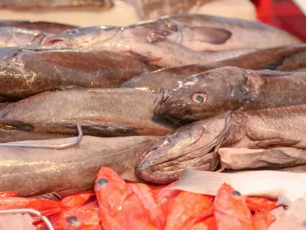 Fisch