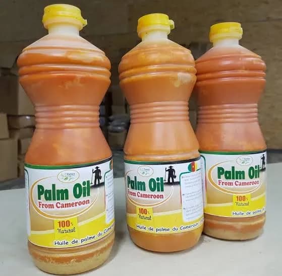 palm oil huile rouge maya